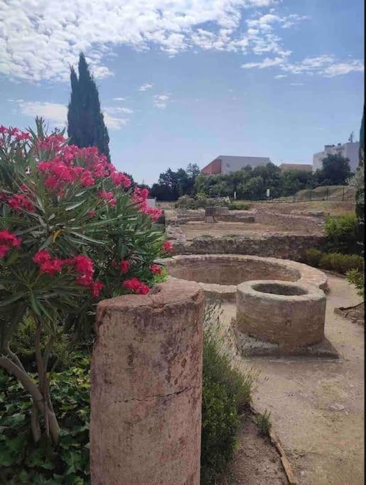 Soleil Sucre T2 Centre Historique De Narbonne Apartment ภายนอก รูปภาพ