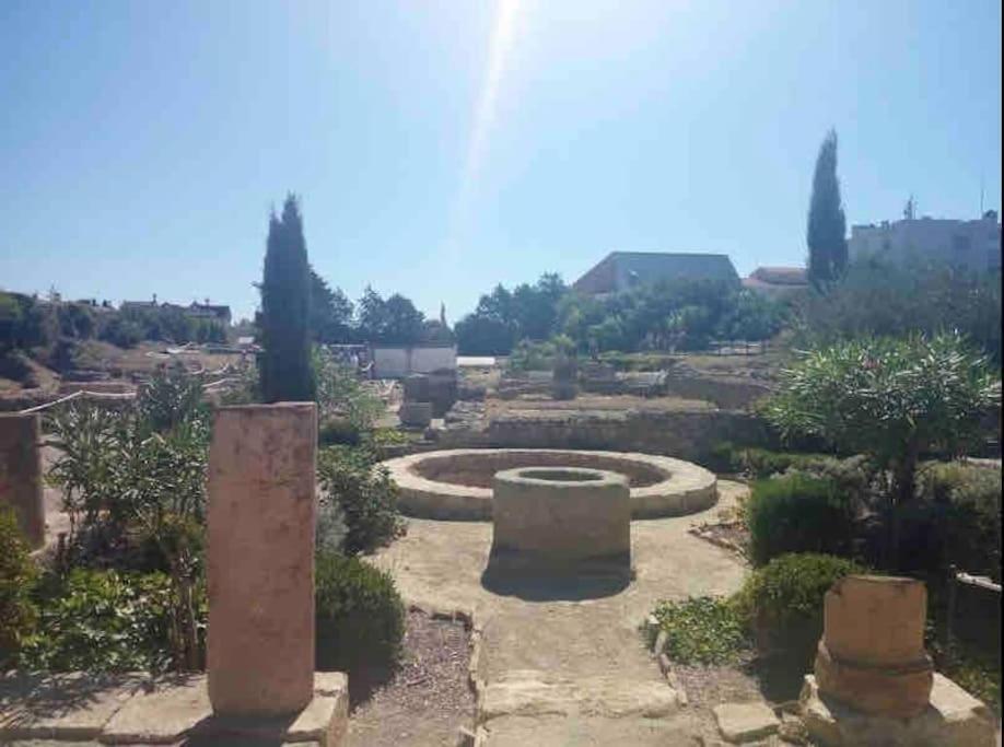 Soleil Sucre T2 Centre Historique De Narbonne Apartment ภายนอก รูปภาพ