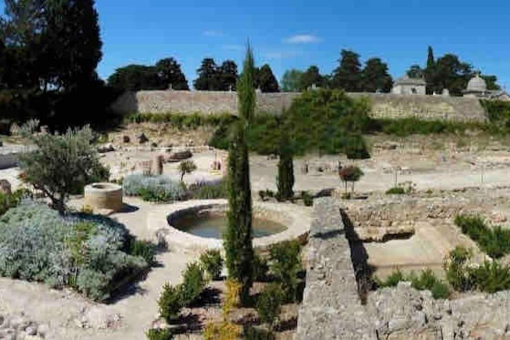 Soleil Sucre T2 Centre Historique De Narbonne Apartment ภายนอก รูปภาพ